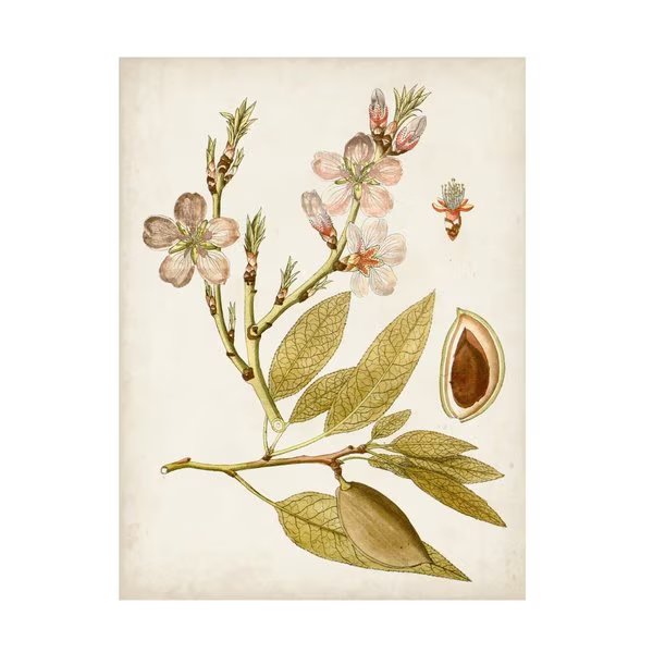 Vision Studio 'Vintage Charm IV' Canvas Art, 24x32, Trademark Fine Art, Mfr#: WAG17925-C2432GG